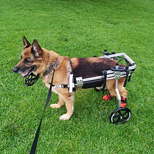 Cora Pet Hund Rollstuhl Einstellbare Gehhilfe Hundegehilfe Rollwagen 2 Räder Hunderollstuhl, Behinderte Hund Gehweg Auto Geeignet Für Hinterbeine Für Haustiere Rehabilitation Für Kleine Hunde, 0–60kg