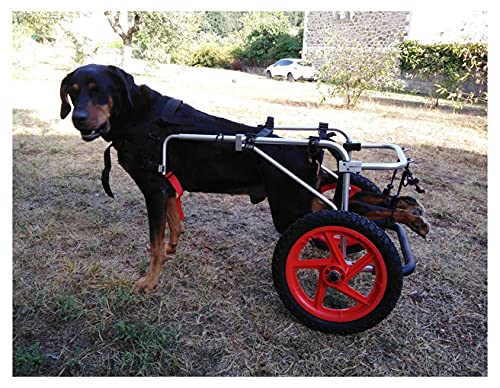 Hund Rollstuhl,Hunderollstuhl Hunderollwagen Gehhilfe,Passend für Haustier Cat Puppy Beagle Schaeferhund Lähmung Verletzt Hinterbeine Rehabilitation,Einstellbar,2 Räder 1,5 kg(3,3 lbs)-50 kg (110 lb)