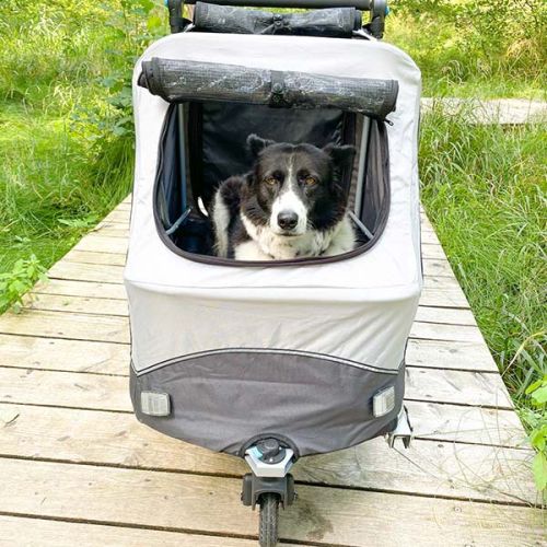 hundebuggy-fahrradanhaenger-trixie
