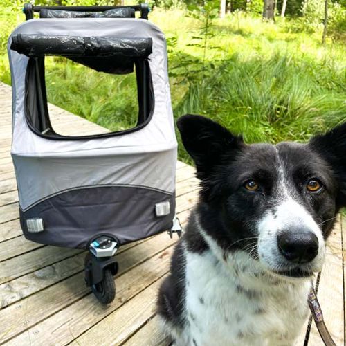 hundebuggy-trixie-gross