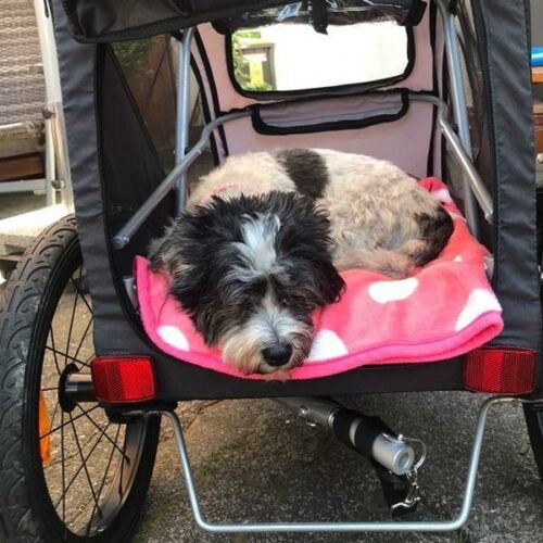 hundebuggy-trixie-kleiner-hund