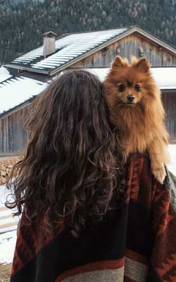 kleiner Hund