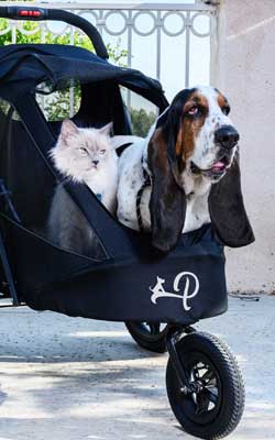 Petique Stroller kleine Hunde
